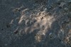 2017-08-21 Eclipse 268